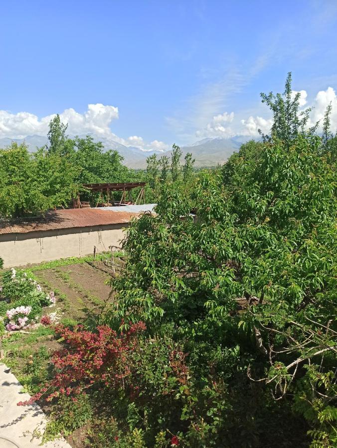 Toktogul Ghesthouse Hotel Buitenkant foto