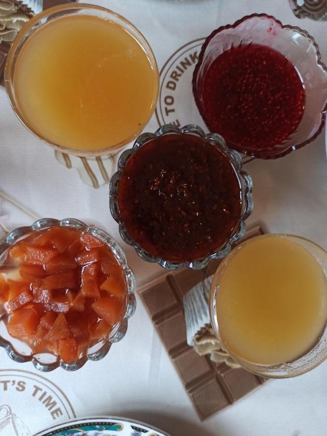 Toktogul Ghesthouse Hotel Buitenkant foto